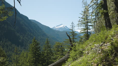 zoom out on large mountains and trees with high peaks in the distance