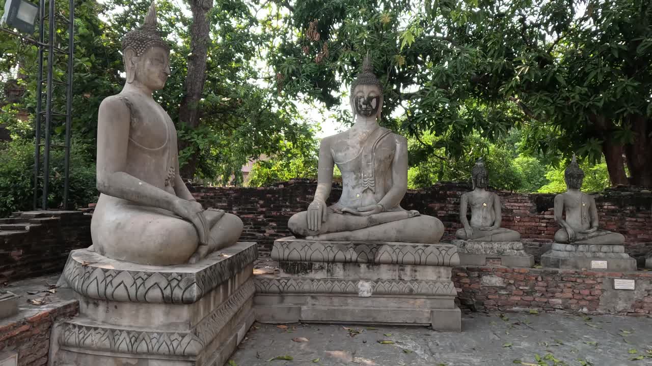 vista panorámica de las estatuas de buda en un sitio histórico