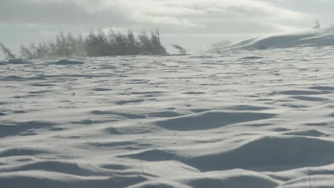 Staubteufel-Bläst-An-Einem-Sonnigen-Wintertag-Schnee-über-Ein-Frisch-Bedecktes,-Tief-Verschneites-Feld