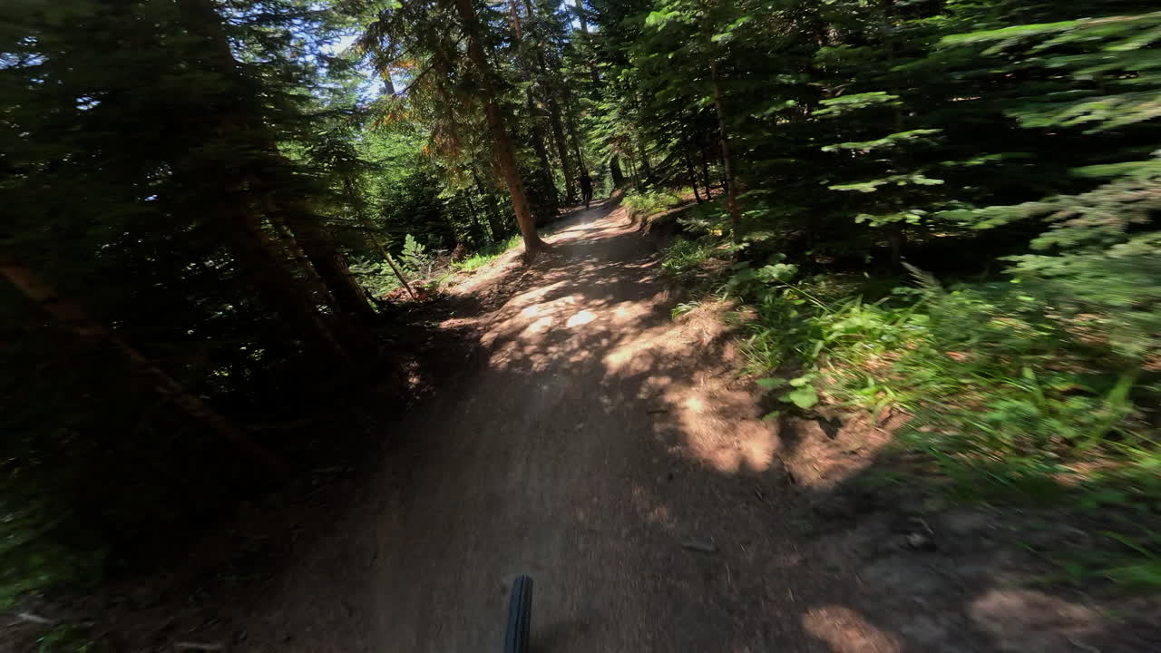 First Person View of Mountain Biking on a Forest Trail