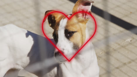 animation of heart icon over dog