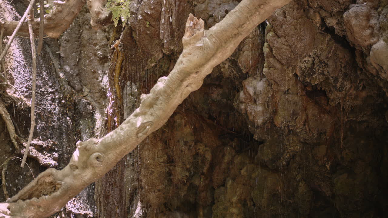 바위 와 나무 를 가로질러 떨어지는 폭포