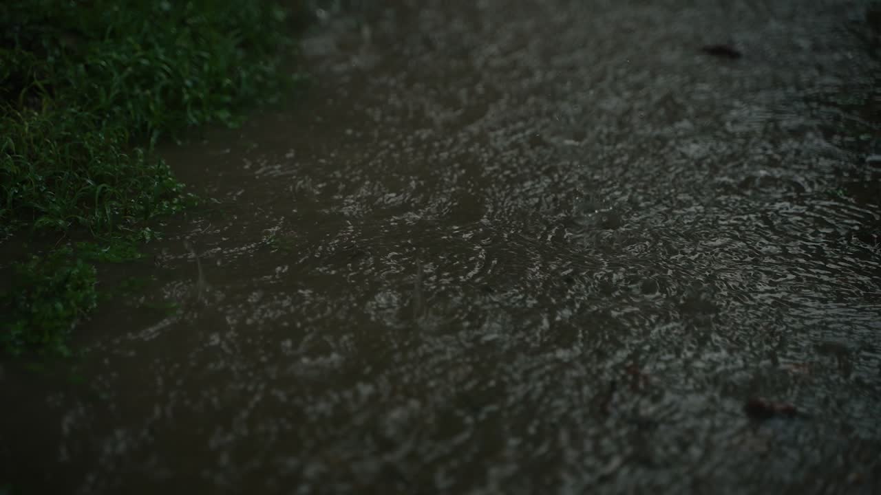 Due to the influence of the southwest monsoon, various parts of India experience heavy rainfall during the monsoon season