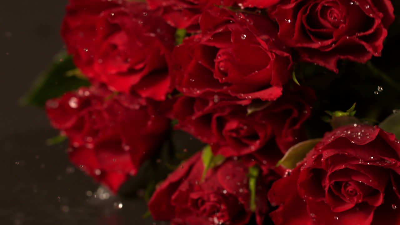 은 장미 꽃줄이 은 표면에 떨어집니다.