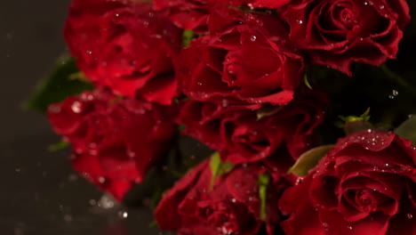 Bouquet-of-red-roses-falling-onto-wet-surface