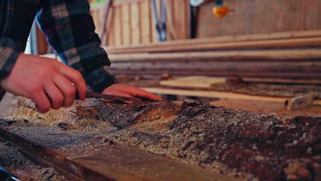 a woodworker starts carving a rough timber slab to create a rustic bench - close up