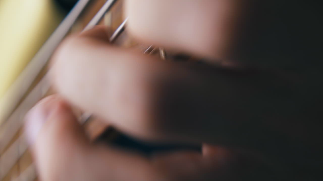 전문 음악가 는 콘서트 에서 베이스 기타 솔로 를 연주 한다