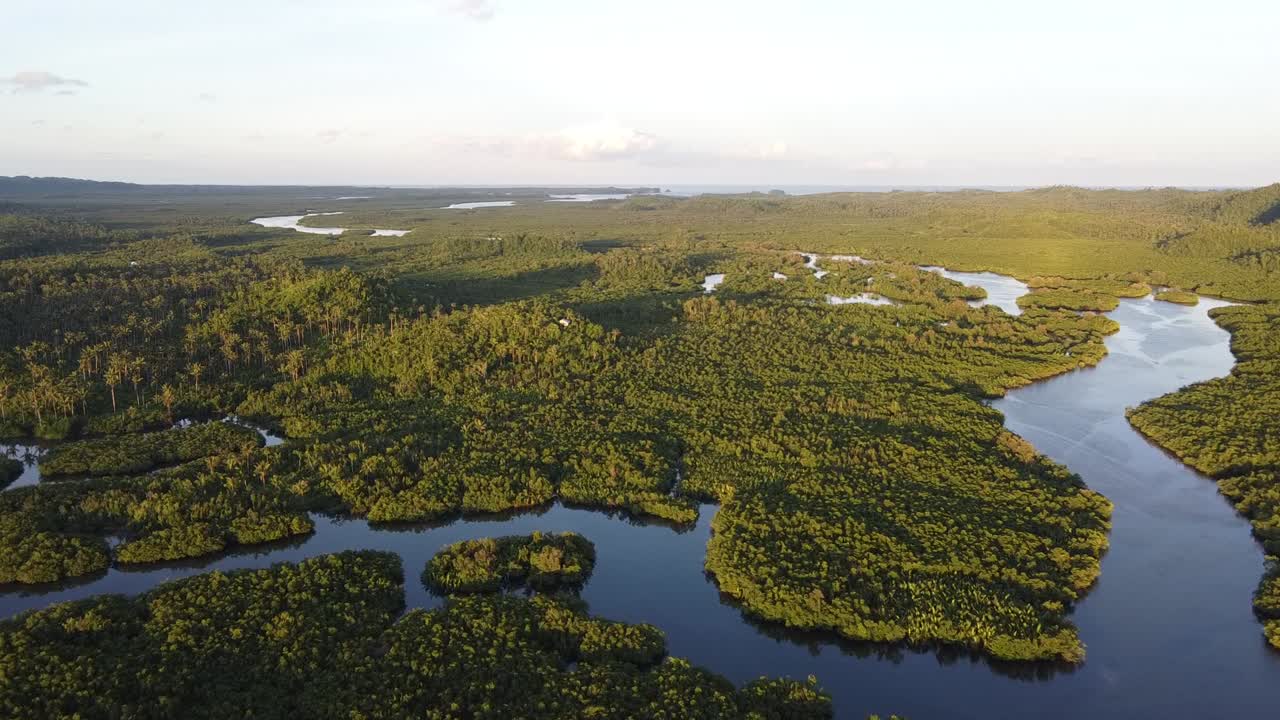 Winding Maasin River snaking its way through vast mangrove moorland swamps and coconut palm trees jungle in a tropical scenery, Siargao