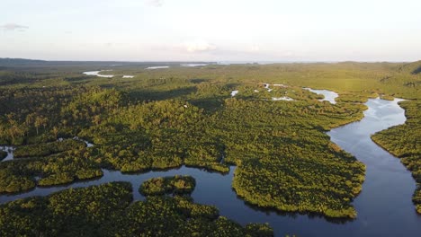 winding maasin river snaking its way through vast mangrove moorland swamps and coconut palm trees jungle in a tropical scenery, siargao