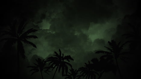 palms trees in jungle in dark night