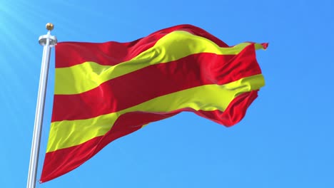 aust-agder fylke flag, norway. loop
