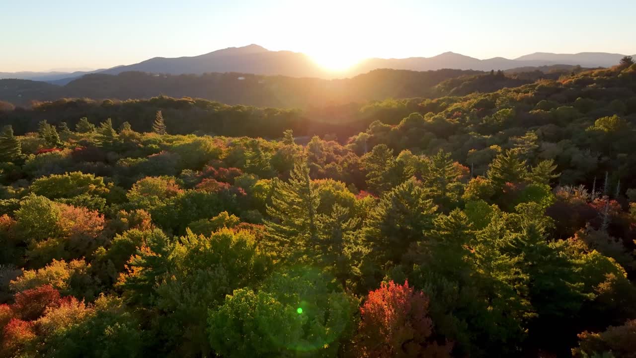 나무 꼭대기 수준의 공중 가을 색상을 향해 밀어