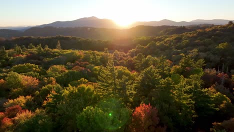 Color-De-Otoño-Aéreo-A-Nivel-De-La-Copa-De-Los-árboles-Empujar-Hacia