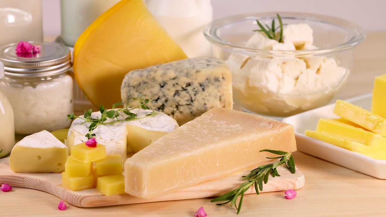 색 배경 에 배열 된 여러 가지 유제품