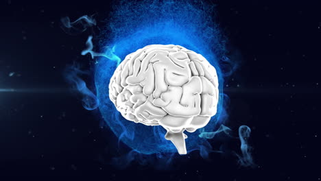 animación del cerebro humano en 3d girando sobre un globo azul brillante sobre un fondo negro