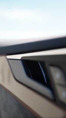 close-up view of a car's door handle and interior panel