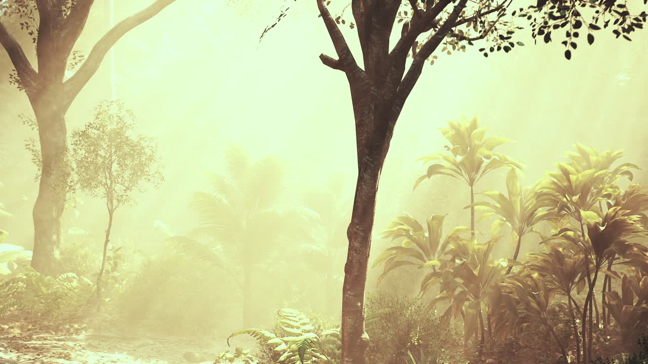 bosque nebuloso con vegetación vibrante y rayos de sol filtrándose a través de los árboles