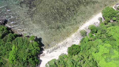 Luftaufnahme-Von-Oben-Nach-Unten-über-Einen-Steinigen-Strand,-Umgeben-Von-Dichten-Waldbäumen-Und-Einem-Muschelpazifik-Während-Der-Sonne