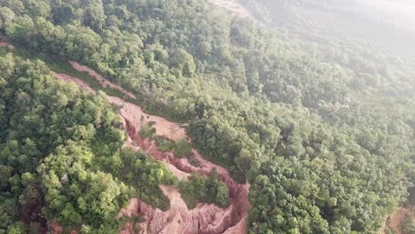 vista aérea el árbol está despejado en la colina.