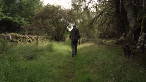 hiker with backpack walking down a woodland trail with a stonewall on the side