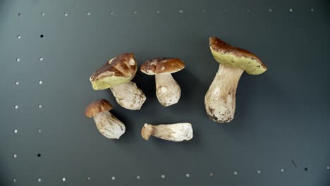 Steinpilze-Ernten-Auf-Einem-Schwarzen-Tisch,-Boletus-Edilus,-Nahaufnahme