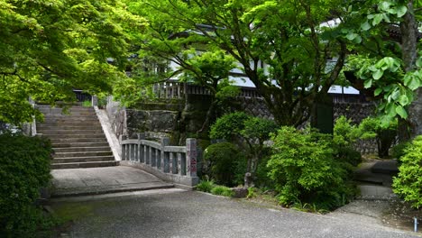 Cinematic-slow-motion-push-in-toward-temple-in-lush-green-forest