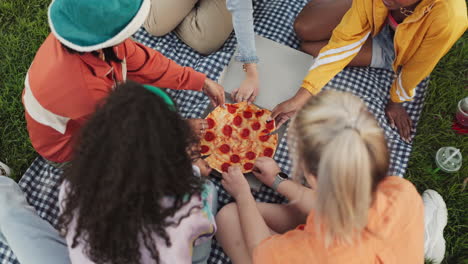 pizza, top view or friends eating at a picnic to