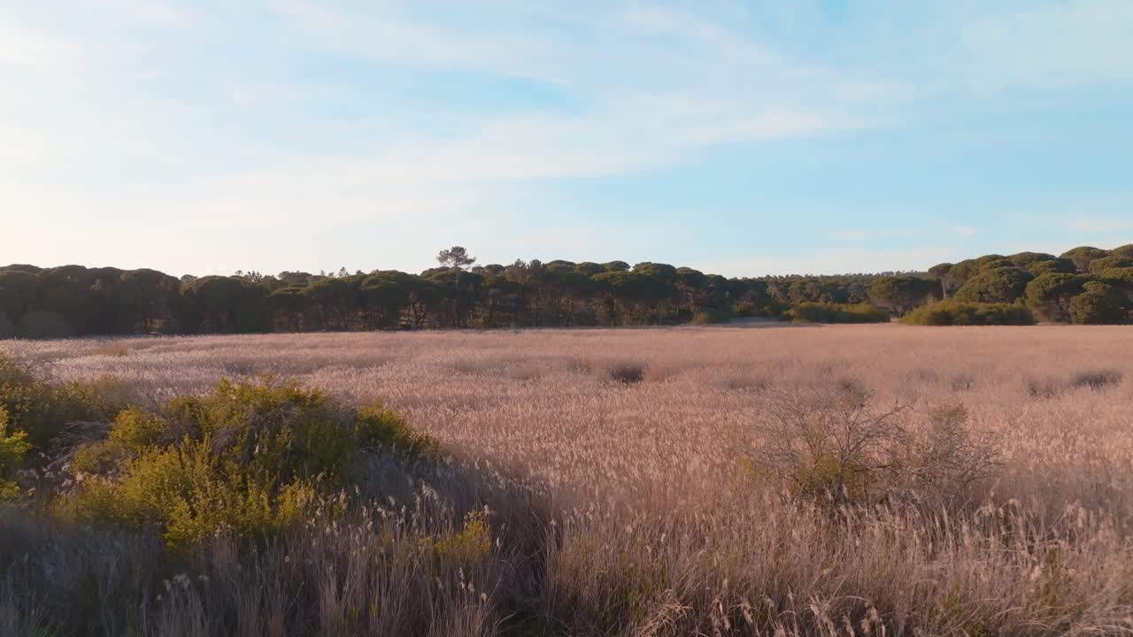 volando bajo sobre el campo de la laguna de albufeira a la luz del día, lisboa, portugal