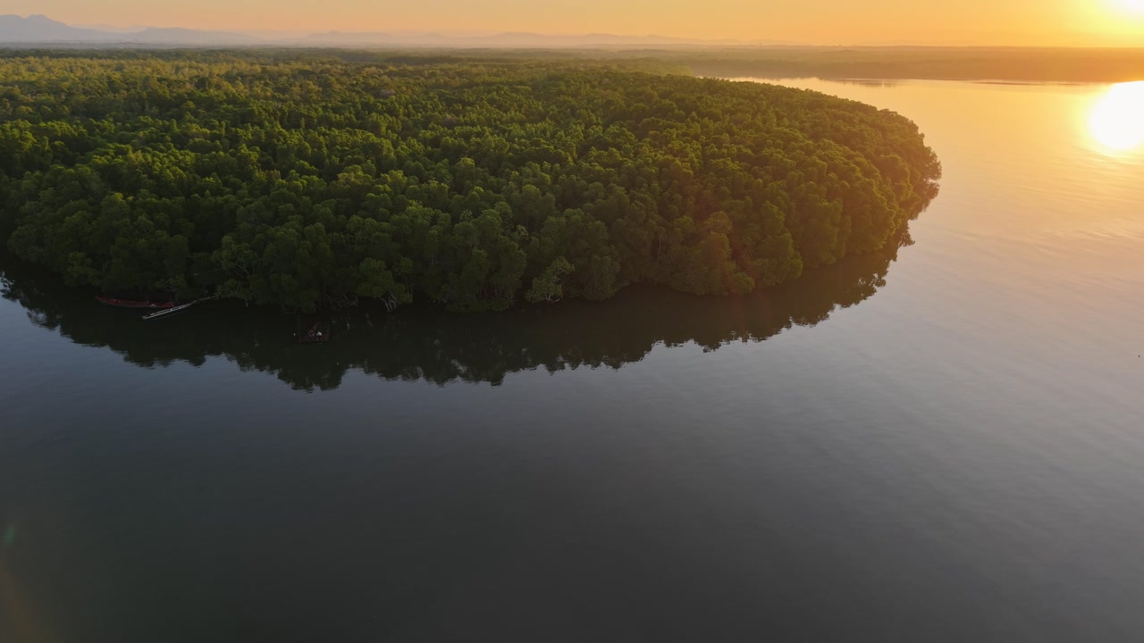 Mangrove forest national park Cambodia Southeast Asia dense evergreen rainforest