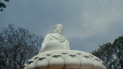 panorama of a large buddha statue located in the middle of the forest