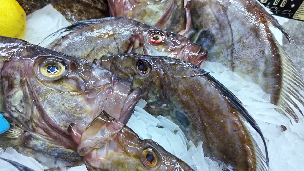 Close-up of fresh turbot and other fish on crushed ice at fish market
