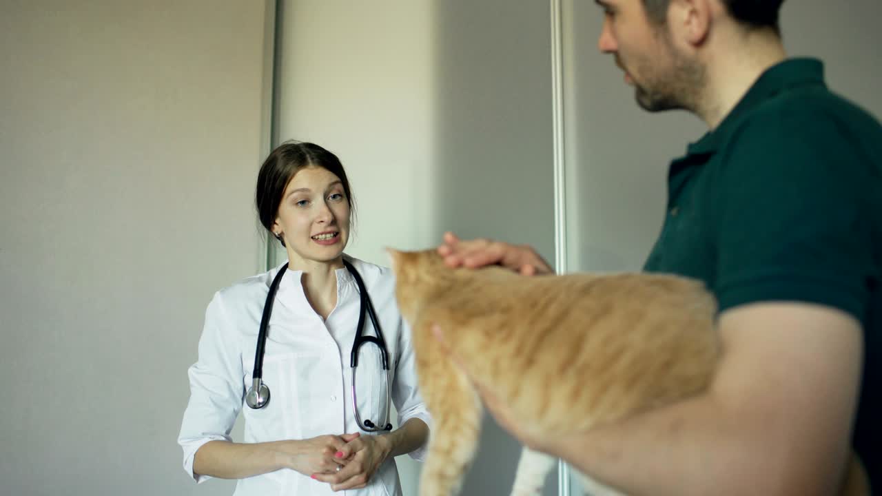 el dueño del gato está hablando con la veterinaria en la oficina del veterinario.