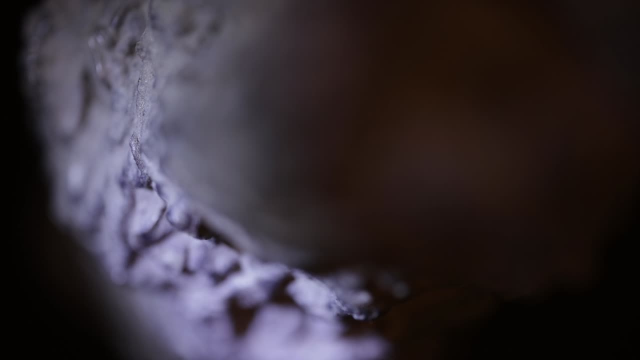 pequeña estatua de hierro y una vista demasiado cercana con un lado de