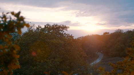 hermosas nubes durante una puesta de sol en el bosque mientras la cámara gira y cambia el enfoque