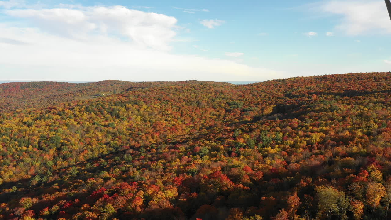 아름 다운가 잎 시즌 동안 풍차 터빈 바람 농장 공중
