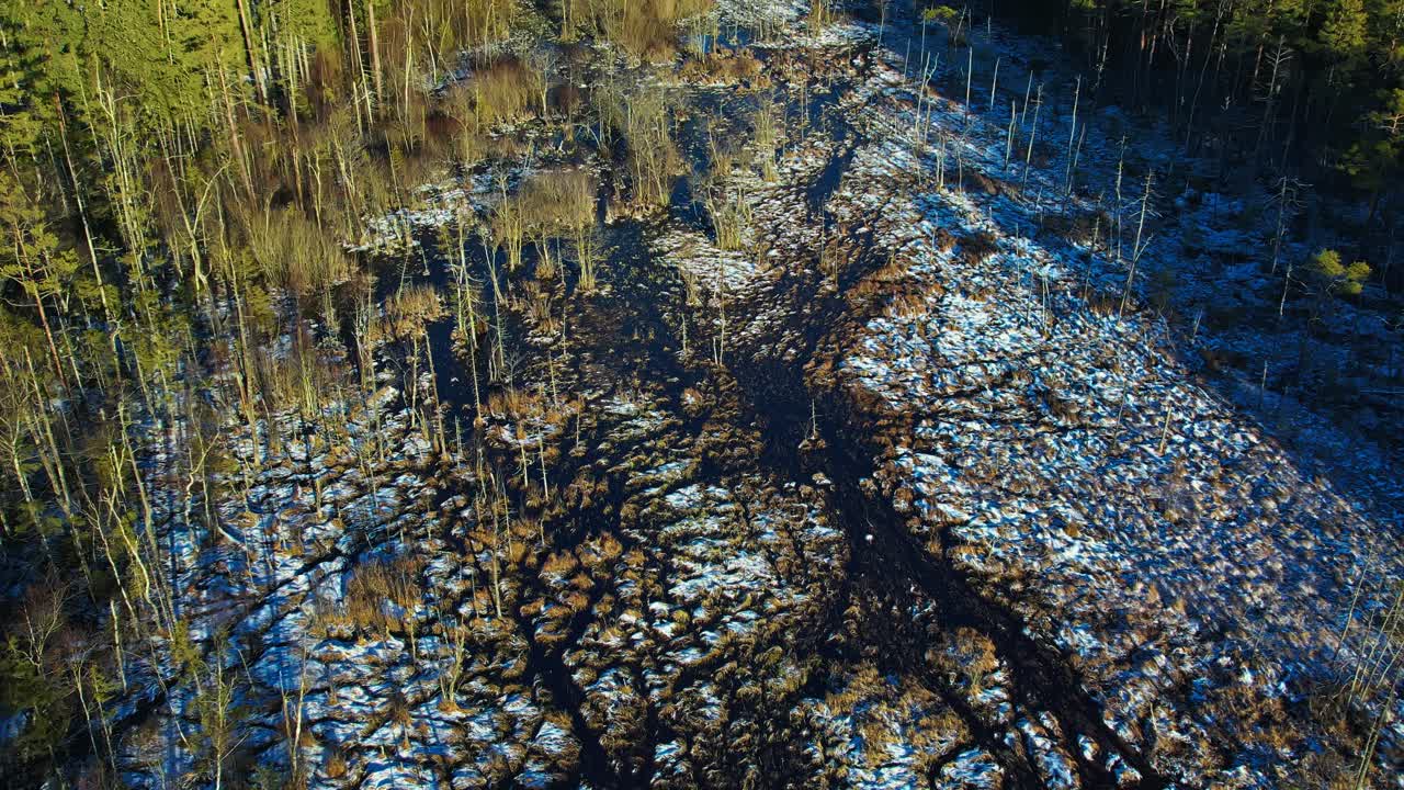 Dolly in aerial shot over snowy, sparse forest in Klippans Nature Reserve, Sweden