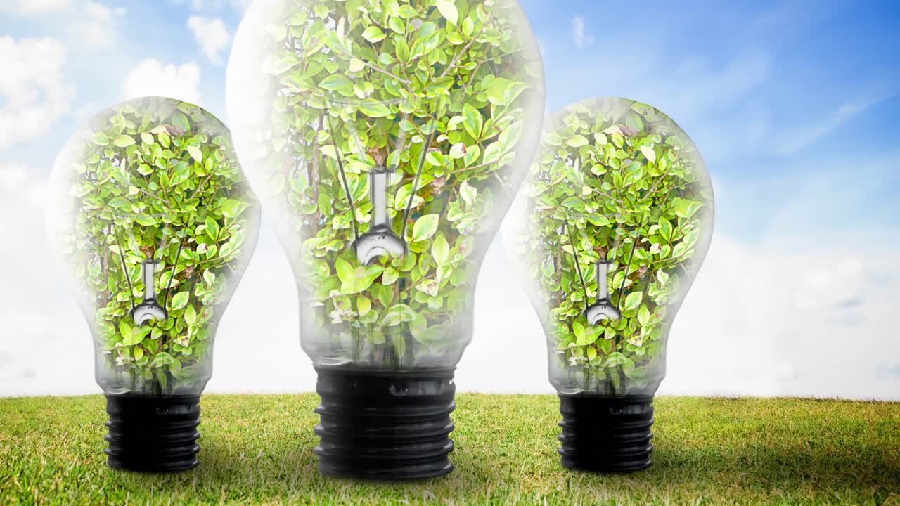 animación de bombillas llenas de plantas sobre el cielo azul y la hierba