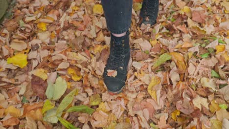 person walks slowly on golden autumn leaves, close up track shot feet