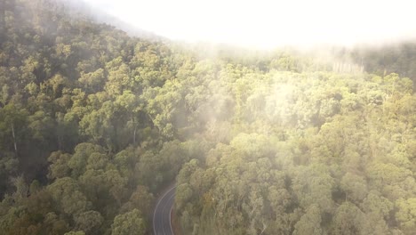 Morning-fog-over-mountain-foothills