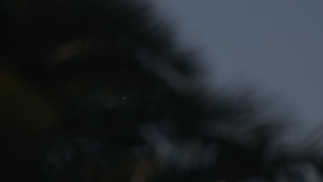 el avión de american airlines volando en el cielo