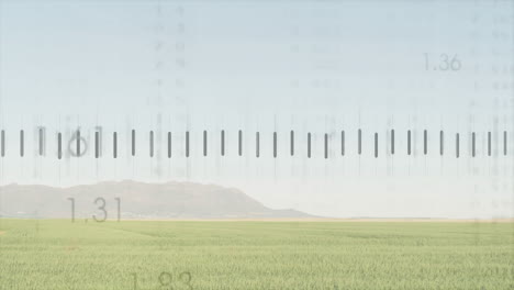 vertical audio equalizer bars floating over green crop field, visualizing sound data in flat design