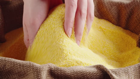 close-up of hands sifting yellow cornmeal or polenta in a burlap sack