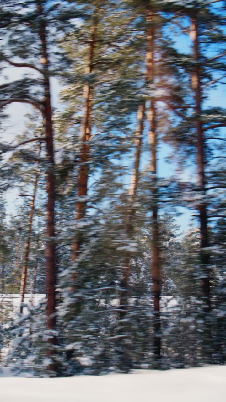 Un paesaggio invernale pittoresco con alberi innevati catturato in movimento, che mette in risalto la bellezza della natura in un ambiente innevato sotto un cielo azzurro limpido