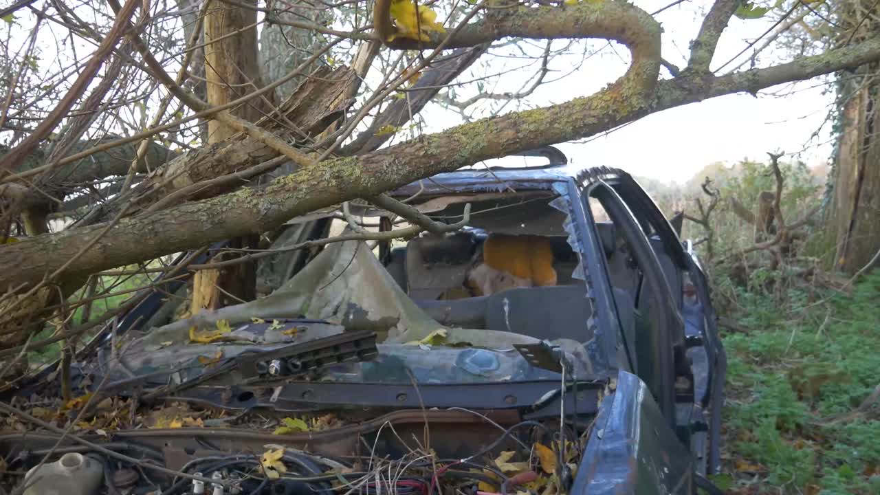 녹슬고, 해체되고, 런던 시골 숲에 버려진 파란 차