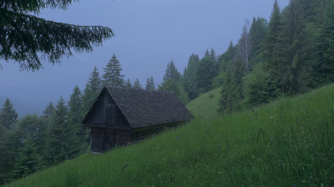 Rain in the mountains, old cabin in a clearing with green grass and flowers surrounded by tall fir trees in the mountains, cloudy sky and fog in the distance.Calm rain in a fairytale landscape