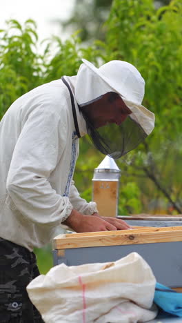 male beekeeper with hive. the beekeeper examines bees in honeycombs. vertical video