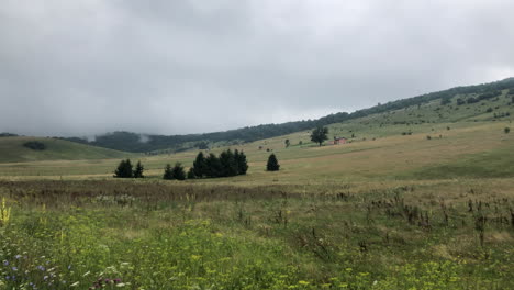 cloudy day in nature