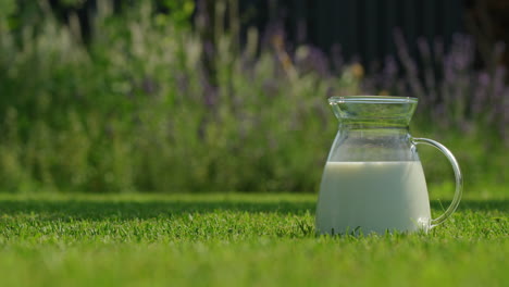 milk pitcher in a garden