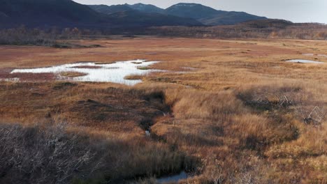 Fly-above-the-marshland-with-lakes-and-ponds-scattered-around