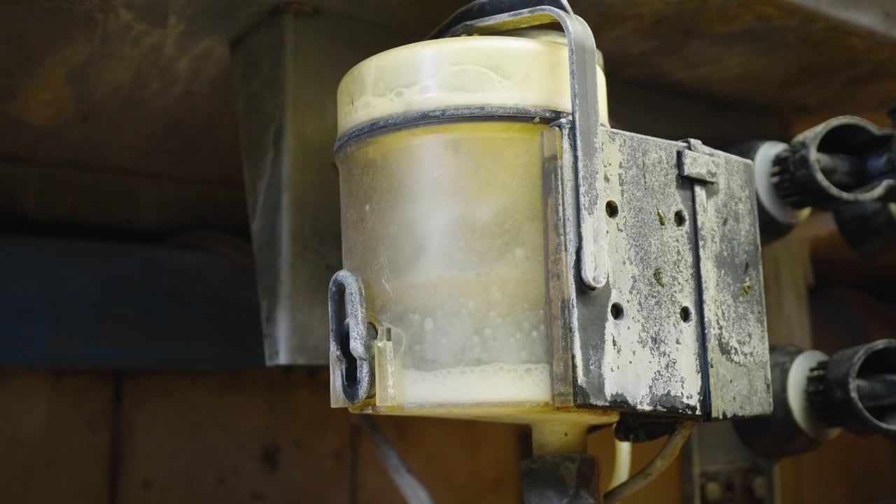 la leche de vaca está fluyendo de la ubre a través de la tubería automatizada en el depósito de la sala de ordeño en la granja - toma cercana, cámara lenta